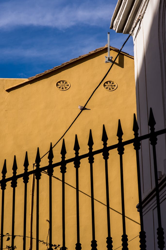 A vibrant architectural shot of a yellow building facade with striking shadows and a perched pigeon.